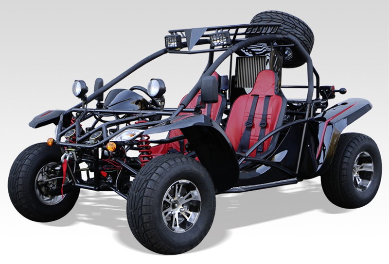 buggy-homologue