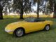 lotus-elan