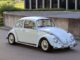 coccinelle-volkswagen